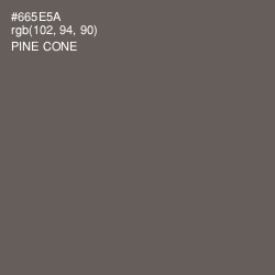 #665E5A - Pine Cone Color Image